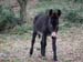 2011-03-12 Monterano 0812