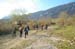 2011-04-02 Monte Rotondo (Majella) 0079
