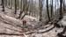 2011-04-10 Monte Semprevisa 0124