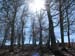 2011-04-10 Monte Semprevisa 0292