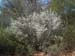 2011-04-16 Cima Vallevona 0075