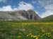2011-05-28.29 Morrone,Cima ZiS,Murolungo  0579