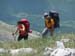 2011-05-28.29 Morrone,Cima ZiS,Murolungo  0663