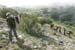 2011-06-05 Cimata Monti di Bagno 0007