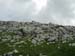 2011-06-05 Cimata Monti di Bagno 0020