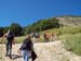 2011-07-17 Monte Rotella 0018