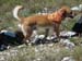 2011-07-17 Monte Rotella 0104