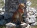 2011-07-17 Monte Rotella 0206