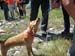 2011-07-17 Monte Rotella 0231