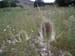 2011-07-17 Monte Rotella 0257