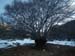 2012-01-28 Monte Torricella  0017