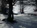 2012-01-28 Monte Torricella  0044