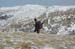2012-01-28 Monte Torricella  0655