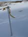 2012-01-28 Monte Torricella  0781