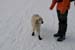 2012-01-28 Monte Torricella  0813