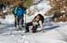 2012-02-18 Monte Pellecchia 0151