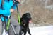 2012-02-18 Monte Pellecchia 0283