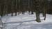 2012-02-18 Monte Pellecchia 0400