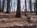 2012-03-10 Monte Serrapopolo 0204
