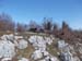 2012-03-10 Monte Serrapopolo 0231