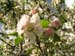 2012-04-15 Pian La Conserva 0028