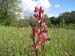 2012-04-15 Pian La Conserva 0045