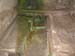 2012-04-15 Pian La Conserva 0115