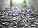 2012-04-15 Pian La Conserva 0154