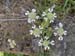 2012-04-15 Pian La Conserva 0177