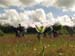2012-04-15 Pian La Conserva 0192