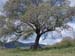2012-04-15 Pian La Conserva 0214
