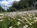 2012-04-15 Pian La Conserva 0264