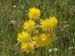 2012-04-15 Pian La Conserva 0332