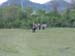 2012-04-15 Pian La Conserva 0334