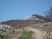 2012-04-21 Monte Cappucciata 0277