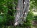 2012-06-02 Monte Gorzano 0070