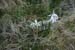 2012-06-02 Monte Gorzano 0411