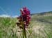 2012-06-02 Monte Gorzano 0415
