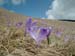 2012-06-02 Monte Gorzano 0500