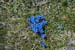 2012-06-02 Monte Gorzano 0567