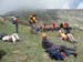 2012-06-02 Monte Gorzano 0608