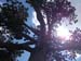 2012-06-24 Serra Dolcedorme 0183
