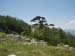 2012-06-24 Serra Dolcedorme 0201