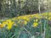 2012-06-24 Serra Dolcedorme 0412