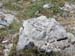 2012-06-25 Monte del Papa 0148