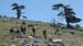 2012-06-26 Monte Pollino 0066