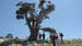 2012-06-26 Monte Pollino 0080