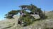 2012-06-26 Monte Pollino 0089
