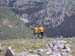 2012-06-26 Monte Pollino 0155