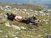 2012-06-26 Monte Pollino 0158
